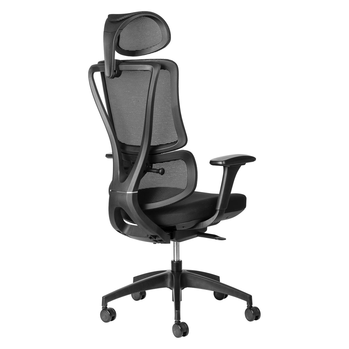 Ergoback Mesh Executive with Headrest and adjustable arms