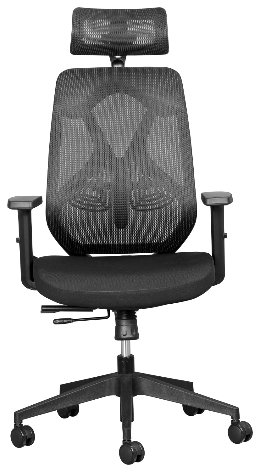 Leila Mesh Executive with headrest and adjustable arms