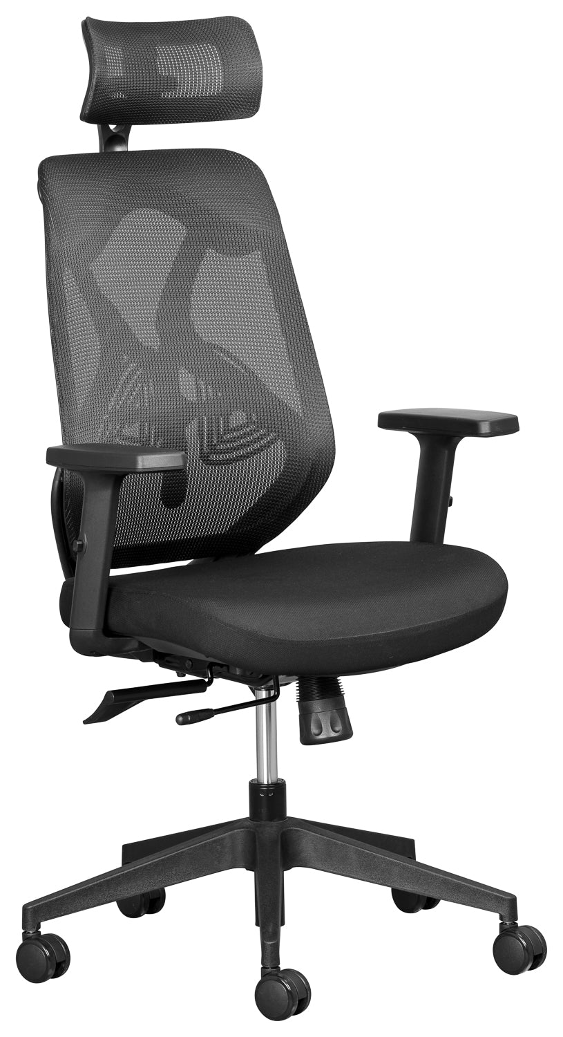 Leila Mesh Executive with headrest and adjustable arms