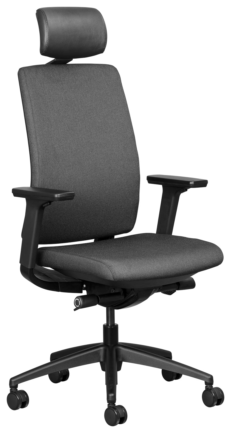 Mira Mesh Executive with headrest and Adjustable arms